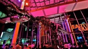 nightlife3