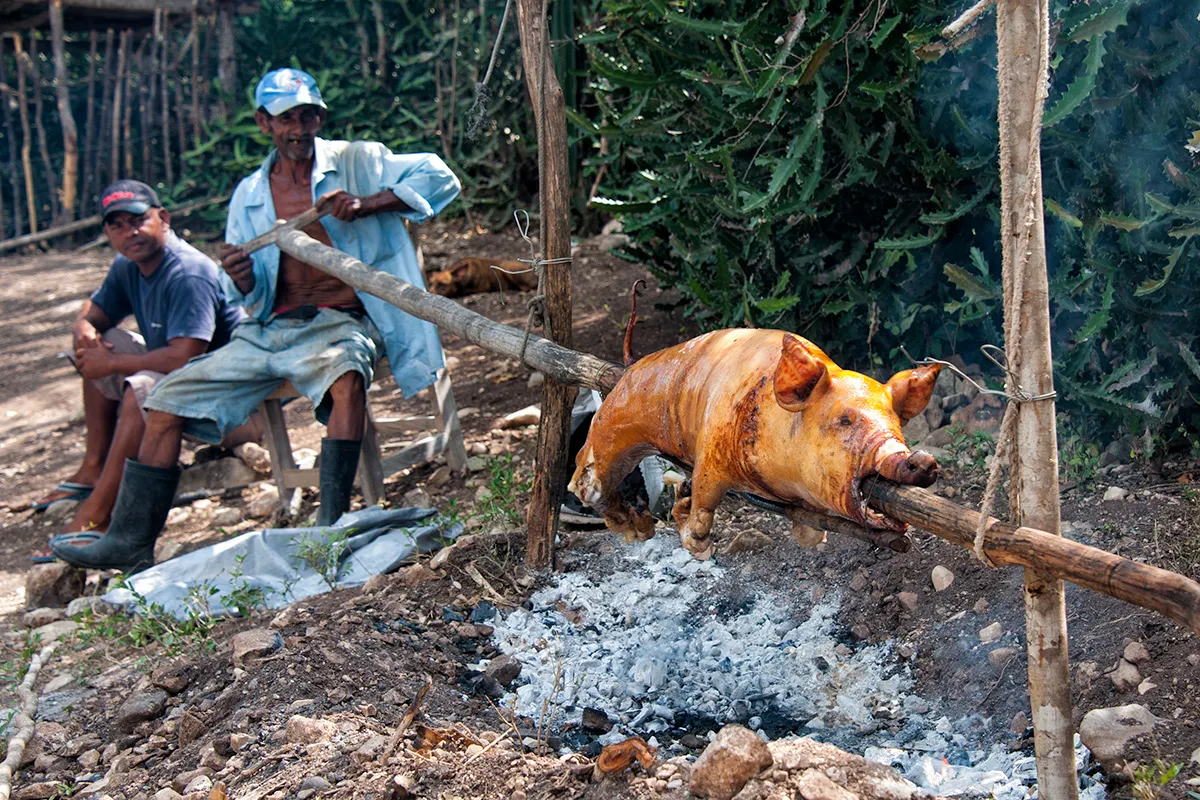 pig on a spit by K Marsh