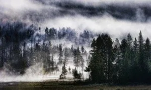 from the blog www.stuckincustoms.com