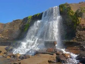 alamere