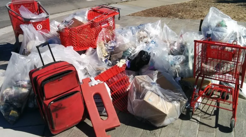 bags and carts 1000p