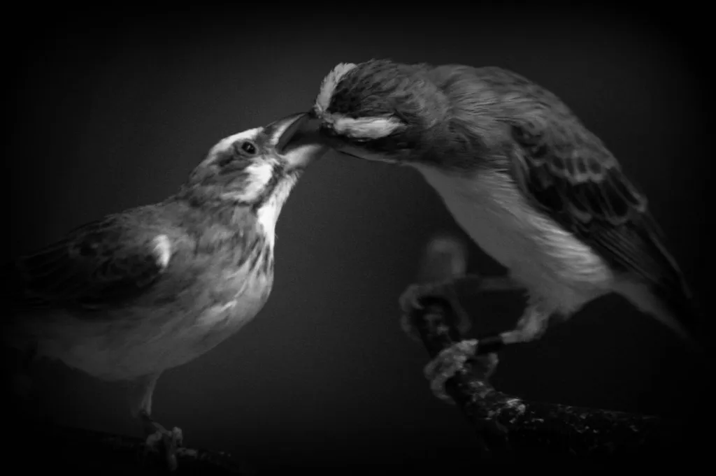 Photography Fights Alzheimer's by GollyGforce - Living My Worst Nightmare from Flickr
