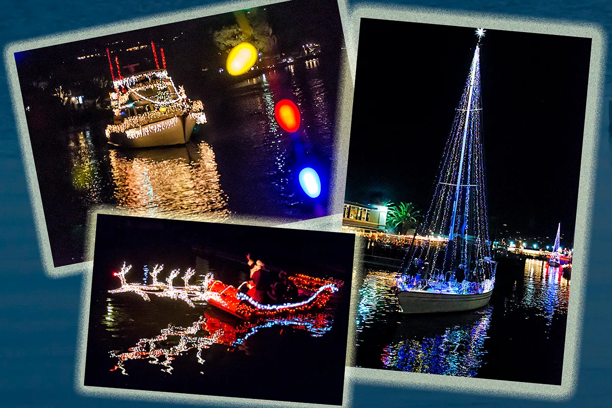 CollageLights by KMarsh 1200p