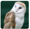 Screen-Shot-2017-05-08-at-6.46.50-PM.png
