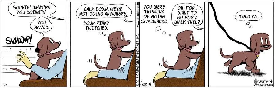 Joke of the Week