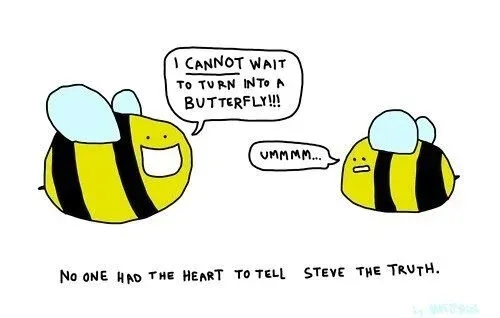 LOLs-bee.jpg