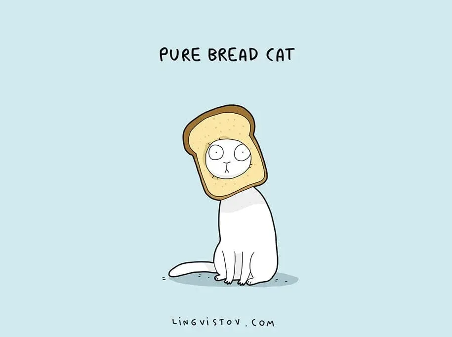 LOLs-cat.jpg