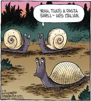 LOLs-pasta-shell.jpg