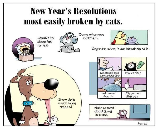 LOLs-New-Years-resolutions.jpg