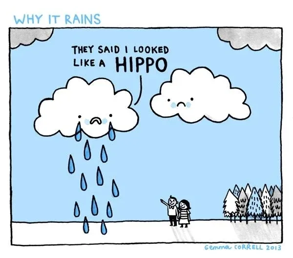 LOLs-rain.jpeg