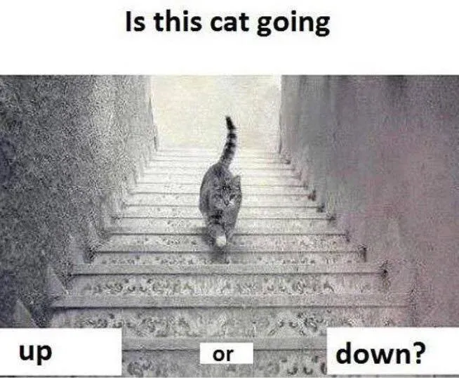 84658216.jpg