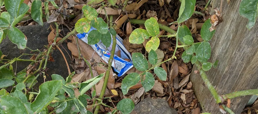 neighborhood wrapper.png