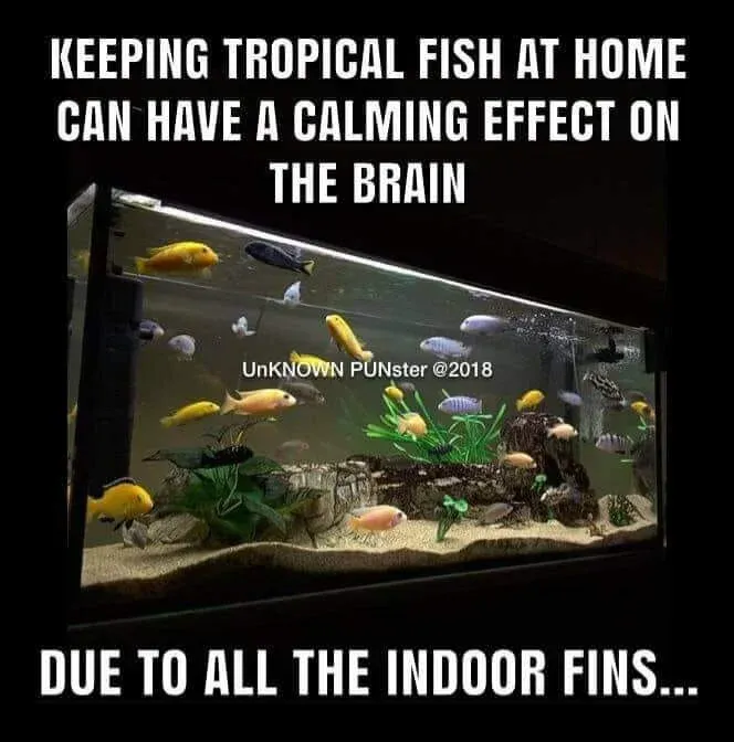 for david harari.jpg