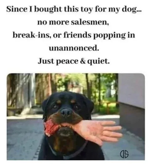 hand dog toy.JPG