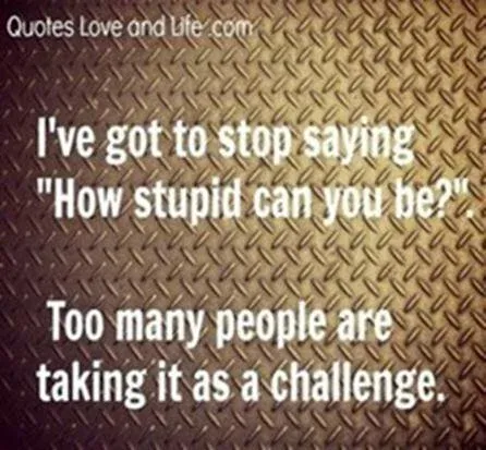 How stupid can you be.jpg