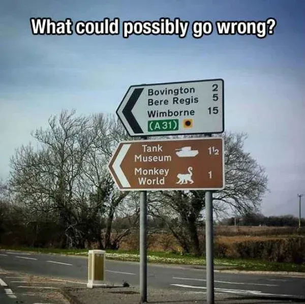 What Could Go Wrong.jpg