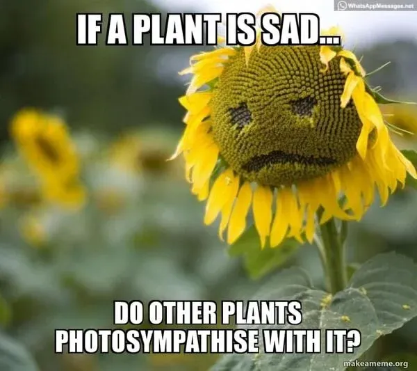 photosypathize.jpg