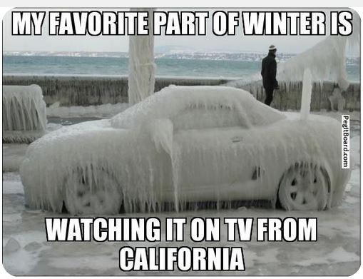 Weekly Funny