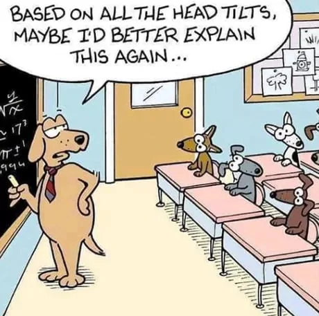 Weekly Funny