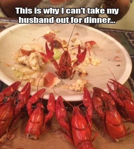 Weekly Funny