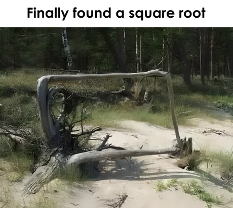 Weekly Funny